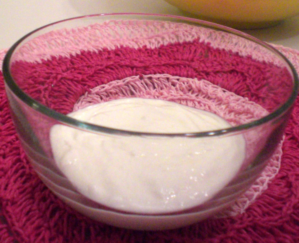 Make Your Own Yogurt | Simply Scrumptious By Sarah