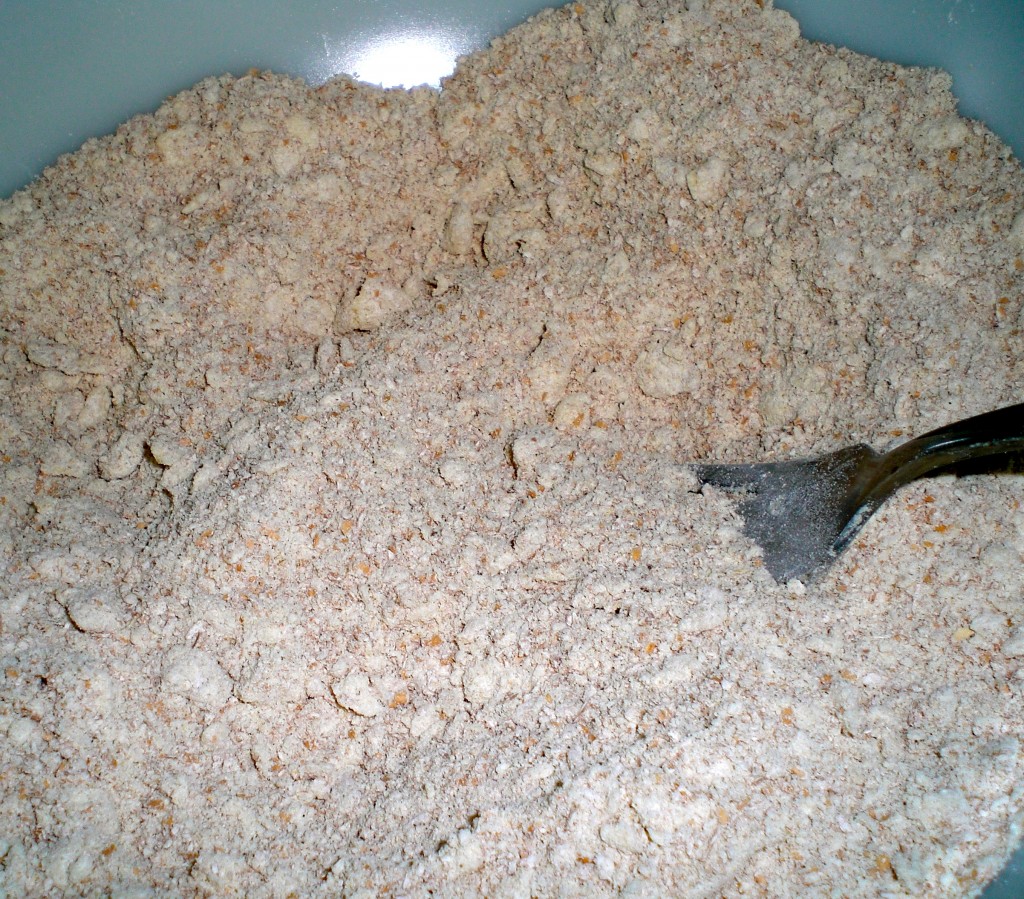This is what the butter flour crumb mixture should look like.
