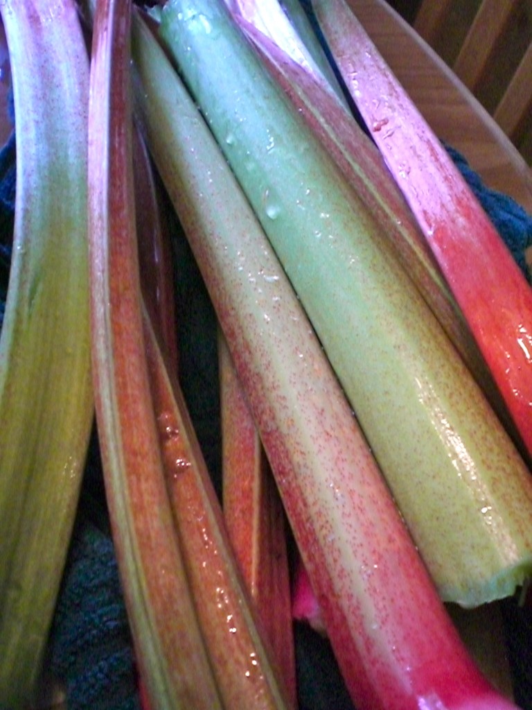 These are what rhubarb stalks look like!