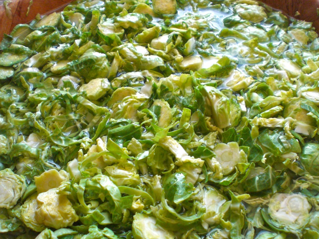 Pomegranate Brussel Sprout Salad | Simply Scrumptious by Sarah 
